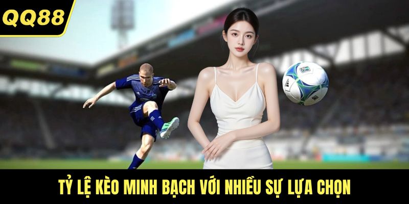 Tỷ lệ kèo minh bạch với nhiều sự lựa chọn